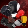 Boxing Gloves  (5)
