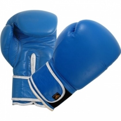 Boxing Gloves Blue G/L 2103