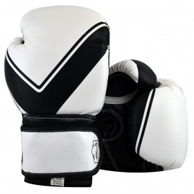 Boxing Gloves Black / White