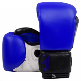 Pro Fight Gloves