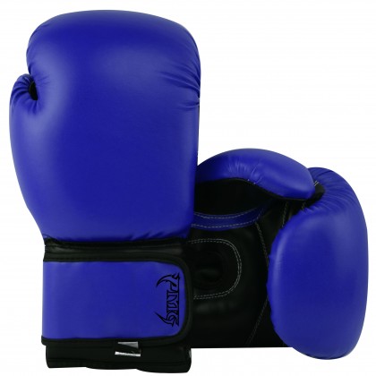 Kids Boxing Gloves Blue Black