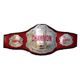 Champion Title Belt