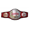 Championship Belts (6)
