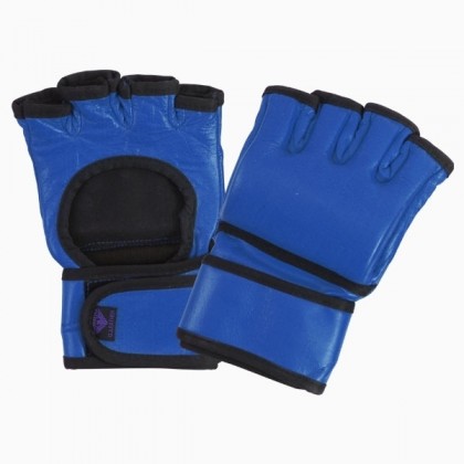 Fight Gloves Blue